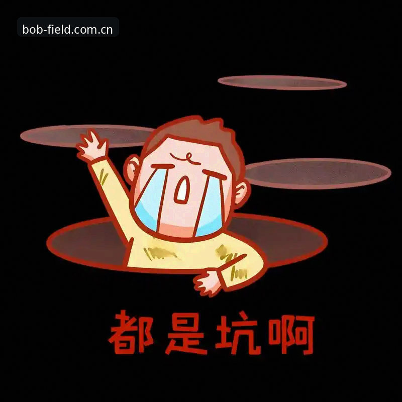 装了三年BOB体育在线登录，2025新版的这些坑我替你踩过了